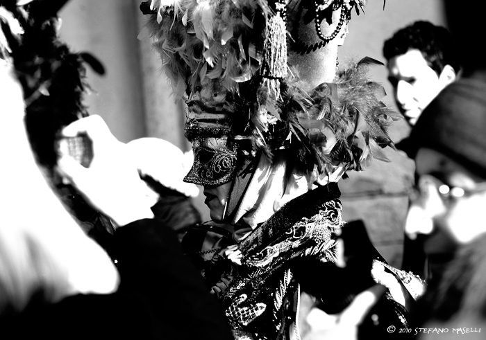Copyright Stefano Maselli